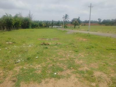 Image of 1200 Sq.ft 1 BHK Apartment / Flat for sale in Othakalmandapam, Coimbatore for Rs. 525000