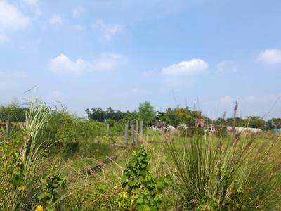 Image of 1800 Sq.ft Residential Plot / Land for sale in Joka, Kolkata for Rs. 499998