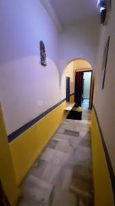 Hall Image of 700 Sq.ft 1 BHK Apartment / Flat for rent in Palasia Indore for Rs. 12000