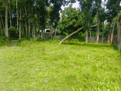 Image of 2880 Sq.ft Residential Plot / Land for sale in Krishnanagar, Nadia for Rs. 3000000