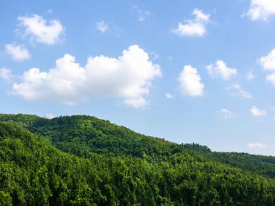 Image of 130 Sq.ft Residential Plot / Land for sale in Sahastradhara Road, Dehradun for Rs. 6500000