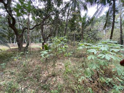 Image of 13066 Sq.ft Residential Plot / Land for sale in Feroke, Kozhikode for Rs. 8900000