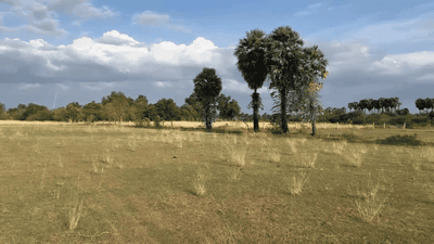 Image of 43500 Sq.ft Residential Plot / Land for sale in Kariapatti, Virudhunagar for Rs. 2500000