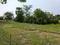 Golden city 2 Plot View 2