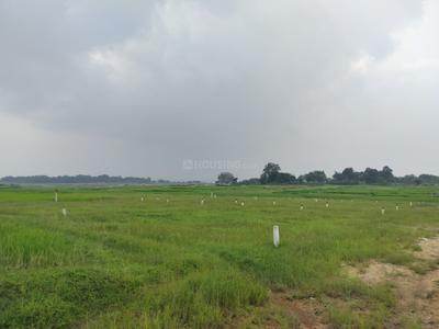Image of 1000 Sq.ft Residential Plot / Land for sale in Arsande, Ranchi for Rs. 1500000