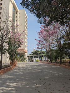 Image of 1660 Sq.ft 3 BHK Apartment / Flat for sale in Brigade Northridge, Agrahara Layout, Bengaluru for Rs. 22000000