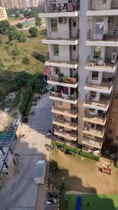 Image of 900 Sq.ft 3 BHK Apartment / Flat for sale in ROF Amaltas, Sector 92, Gurgaon for Rs. 7050000