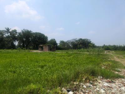 Residential Plot