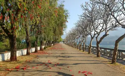 Image of 1100 Sq.ft 2 BHK Apartment / Flat for sale in Muni Ki Reti, Rishikesh for Rs. 2999999