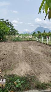 Image of 1800 Sq.ft Residential Plot / Land for sale in Thudiyalur, Coimbatore for Rs. 1525000