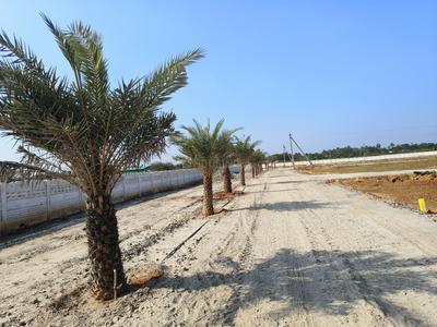 Image of 900 Sq.ft Residential Plot / Land for sale in Mathur, Pudukkottai for Rs. 423000