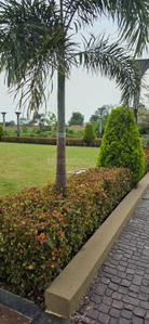 Image of 880 Sq.ft Residential Plot / Land for sale in Nageshwar Sky Dream City, Bada Bangarda, Indore for Rs. 4312000