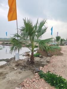 Image of 1000 Sq.ft Residential Plot / Land for sale in Mahlan, Jaipur for Rs. 1590000