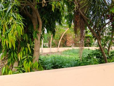 Action Area 2 Plot View 3