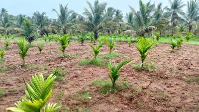 Image of 10000 Sq.ft Residential Plot / Land for sale in Konanakunte, Bengaluru for Rs. 45000000