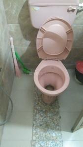Image of 619 Sq.ft 1 BHK Apartment / Flat for rent in Nungambakkam, Chennai for Rs. 20900