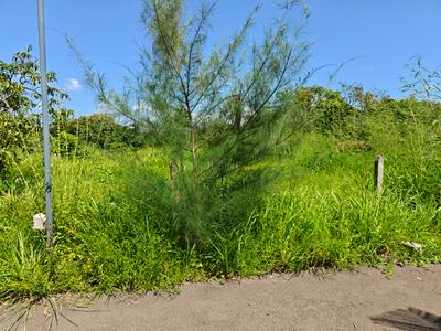 Image of 2723 Sq.ft Residential Plot / Land for sale in Shrivardhan, Raigad for Rs. 220000