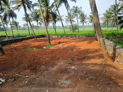 Image of 4138 Sq.ft Residential Plot / Land for sale in Paravattani, Thrissur for Rs. 6600000