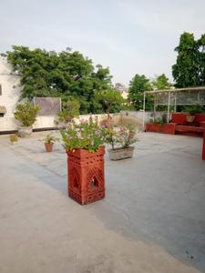 Image of 3500 Sq.ft 4 BHK Builder Floor for rent in Hauz Khas, New Delhi for Rs. 145000
