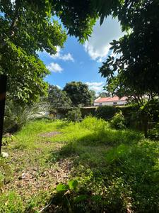 Image of 1600 Sq.ft 2 BHK Independent House for rent in Dalanwala, Dehradun for Rs. 35000