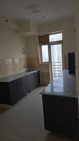 Gardenia Glory Main Image 1