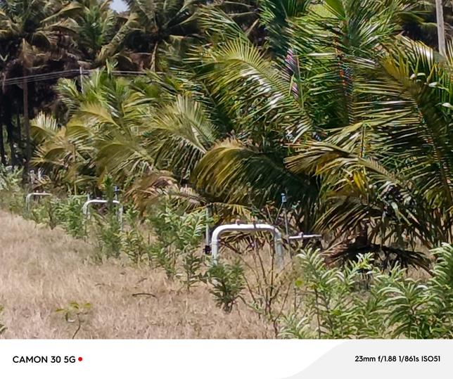 Golden Farms Main Image 1