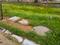 Vatika India Next Plot Main Image 1