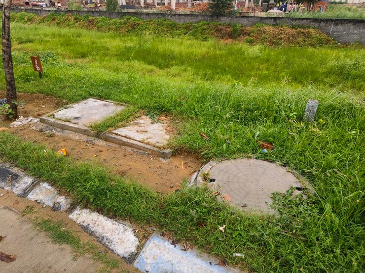 Vatika India Next Plot Main Image 1