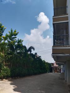 Image of 1545 Sq.ft 3 BHK Apartment / Flat for sale in Gola Road, Patna for Rs. 14600000