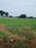 Silani Plot View 2