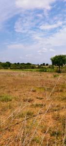 Veldanda Plot View 3