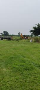 Image of 10000 Sq.ft 1 RK Farm House for sale in Kumbh Mela Area I, Allahabad for Rs. 990000