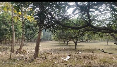 Image of 300 Sq.ft Residential Plot / Land for sale in Chelluru, Vizianagaram for Rs. 4800000