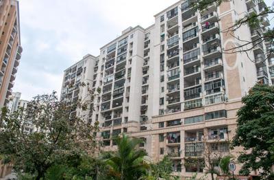 Image of asim nest in Yeswanthpur, Bengaluru