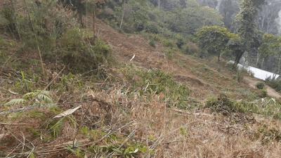 Image of 2178 Sq.ft Residential Plot / Land for sale in Kalimpong Khasmahal, Kalimpong for Rs. 1500000