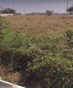 Residential Plot