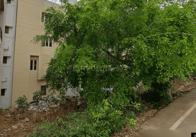 Residential Plot