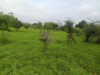 Image of 1100 Sq.ft Residential Plot / Land for sale in Samata Nagar, Jalgaon for Rs. 1500000