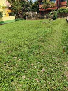 Samanta Para Plot View 1