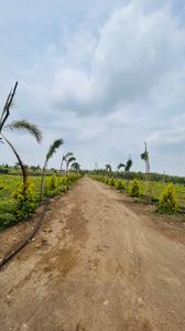 Image of 7000 Sq.ft Residential Plot / Land for sale in Chikhli, Indore for Rs. 3647000