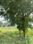 New Chandigarh agricultural land 3kanal for sale best for investment  More Images 2