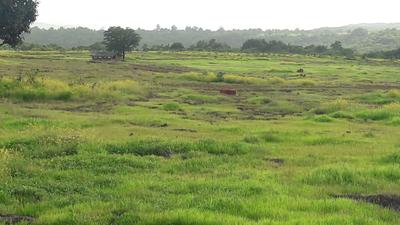 Image of 3012 Sq.ft Residential Plot / Land for sale in Kankavli, Sindhudurg for Rs. 1700000