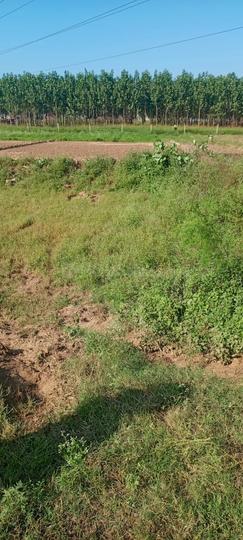 Janta Nagar, Kharar Main Image 1