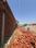 Gautam Residency Plot View 2