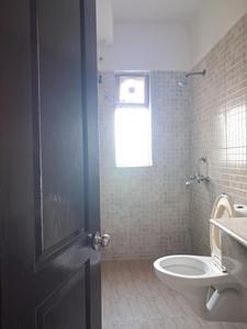 Common Bathroom Image of 925 Sq.ft 2 BHK Apartment / Flat for sale in Paras Tierea, Sector 137 Noida for Rs. 8200000