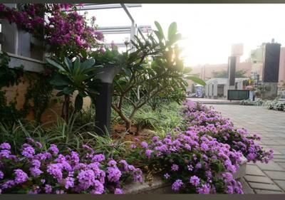Image of 4058 Sq.ft 4 BHK Apartment / Flat for rent in HM Tropical Tree, RT Nagar, Bengaluru for Rs. 300000