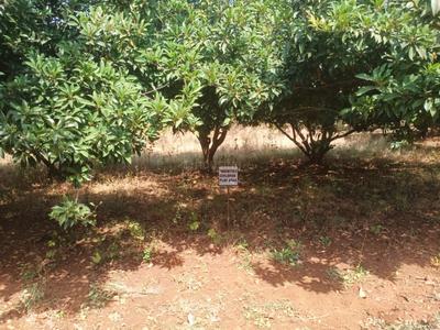 Image of 3850 Sq.ft Residential Plot / Land for sale in Karjat, Thane for Rs. 4620000