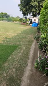 Image of 9072 Sq.ft Residential Plot / Land for sale in Dkrrish Alaska Farms, Nagla Nagli, Noida for Rs. 8500000
