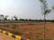 Shadnagar Plot View 2