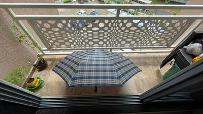 Balcony Image of 900 Sq.ft 2 BHK Apartment / Flat for sale in Lodha Panacea, Dombivli East Thane for Rs. 6500000